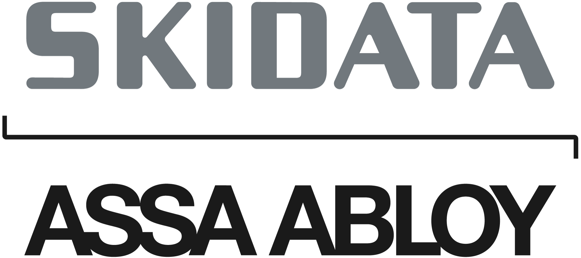 logo skidata