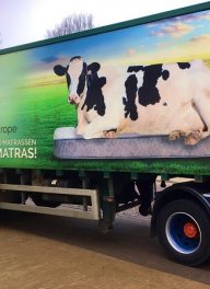 Matras Reclycling Europe