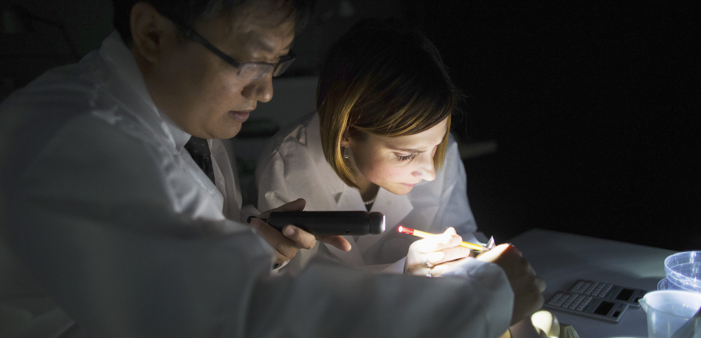 Werkzaamheden Pas Reform donker