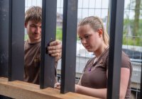 Flexibel arbeidskracht